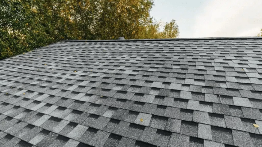 when did architectural shingles come out?