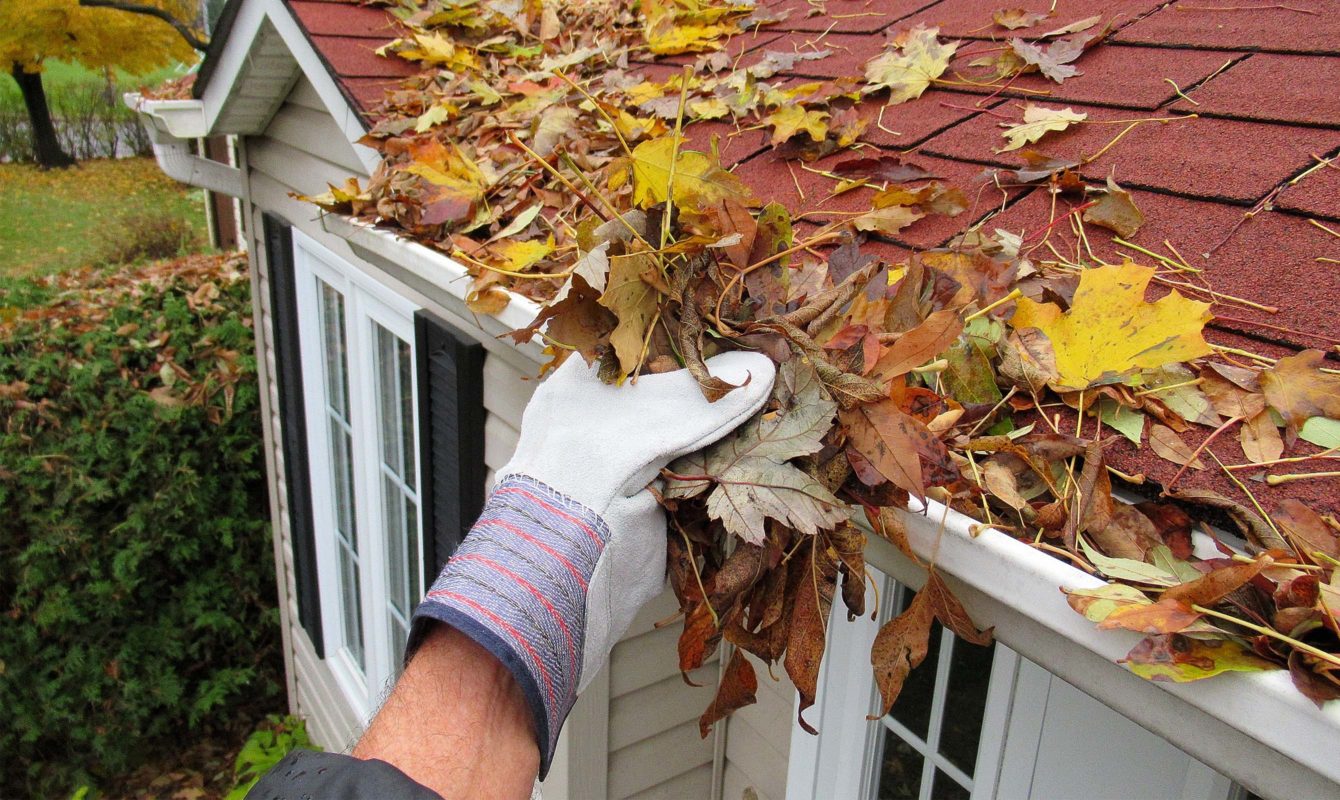 roof maintenance homeowners - vs. roofers, checklist