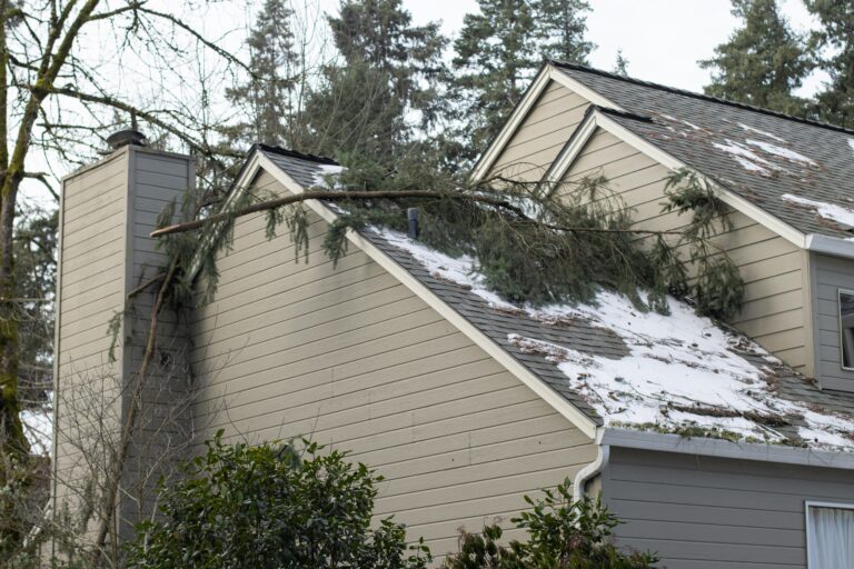 Tree branch resting on house roof