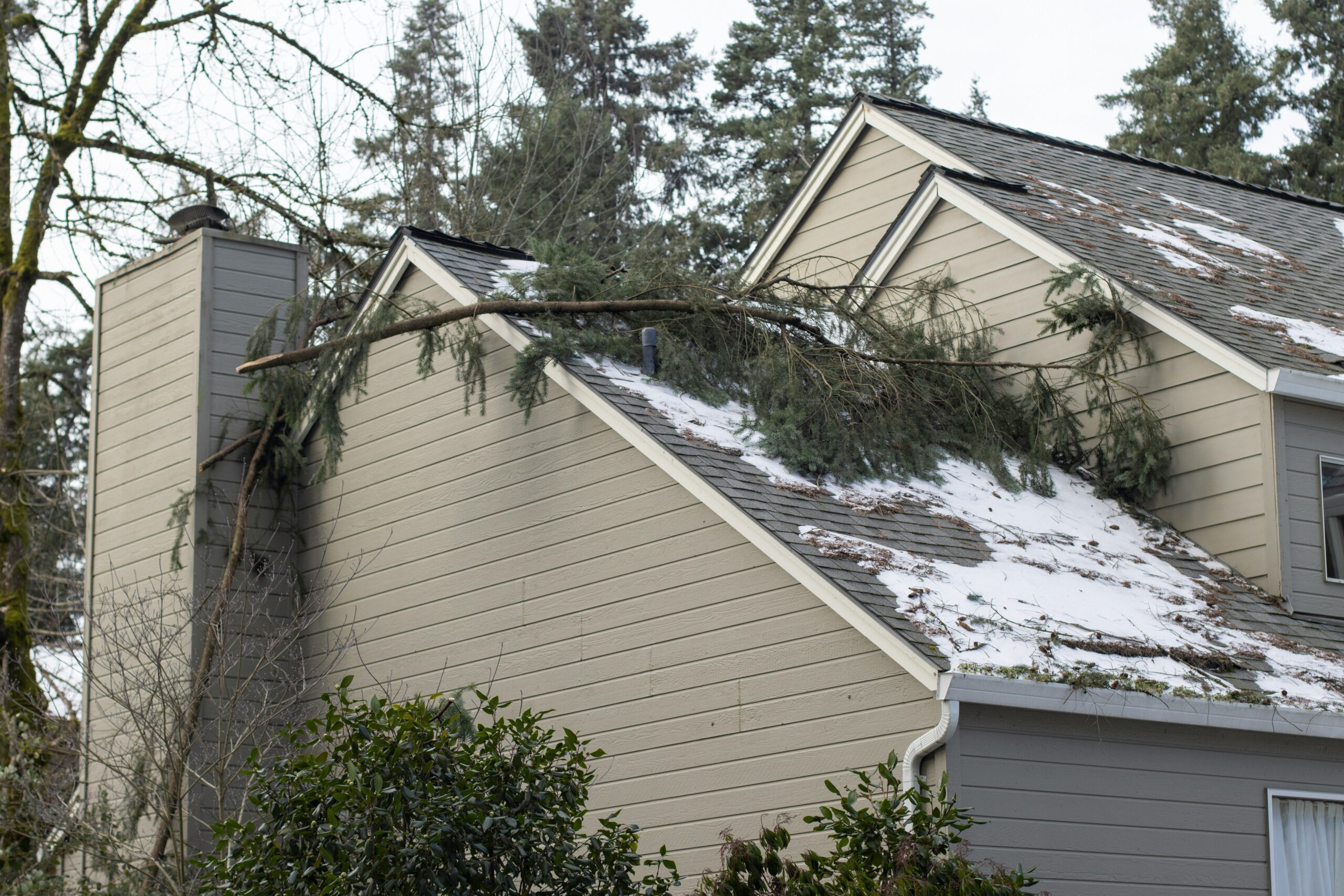 Tree branch resting on house roof
