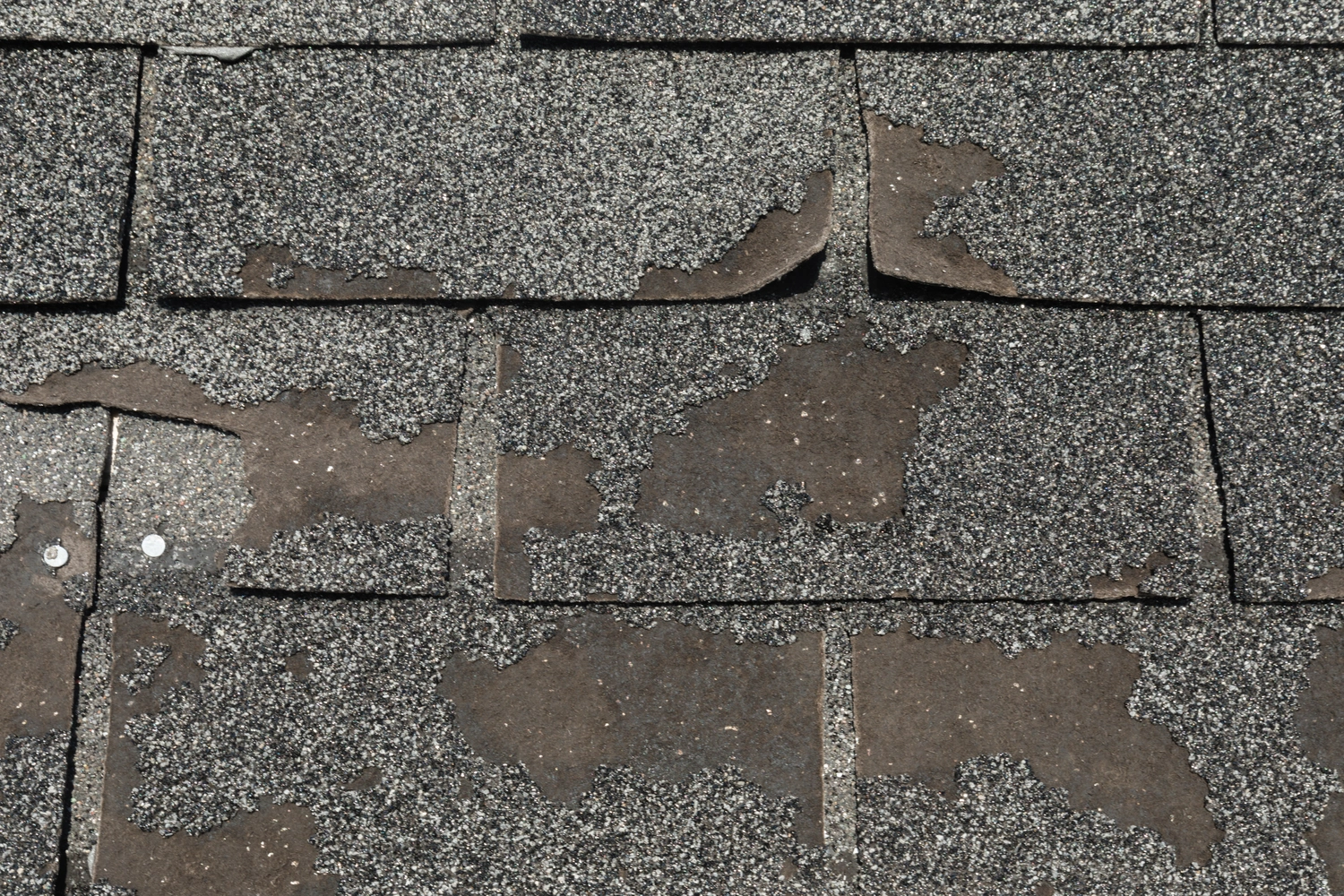 what does granule loss mean on roofing shingles