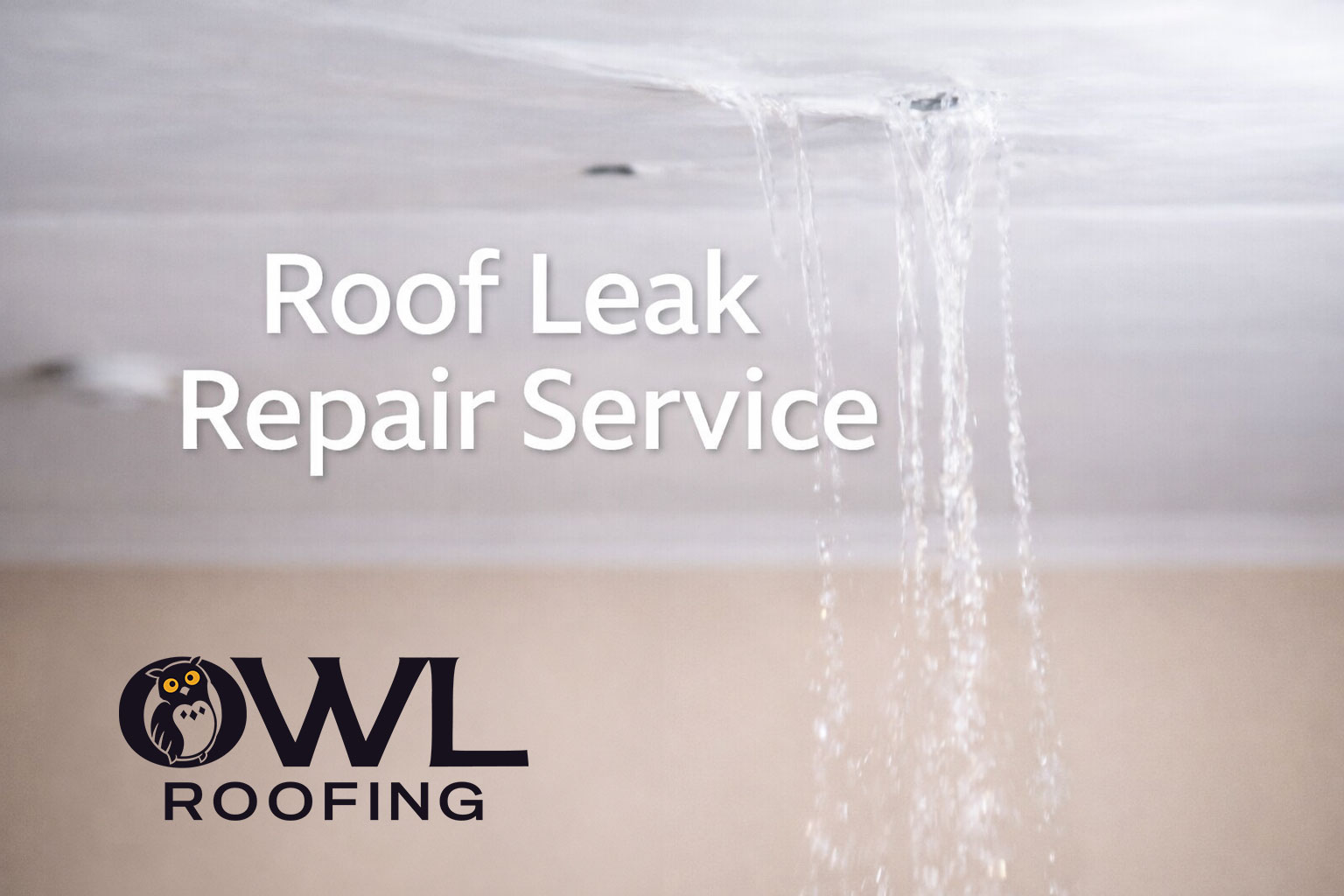 Leak Repair Service Twin Cities Minnesota