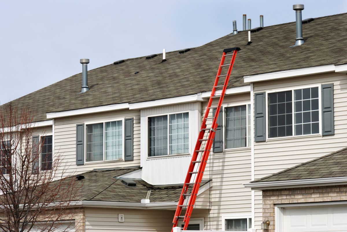 red ladder on asphalt shingle roof
