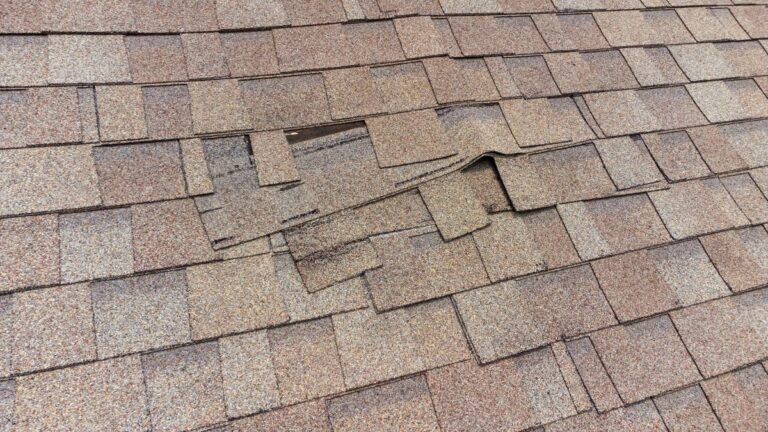 damaged roof shingles in need of repair