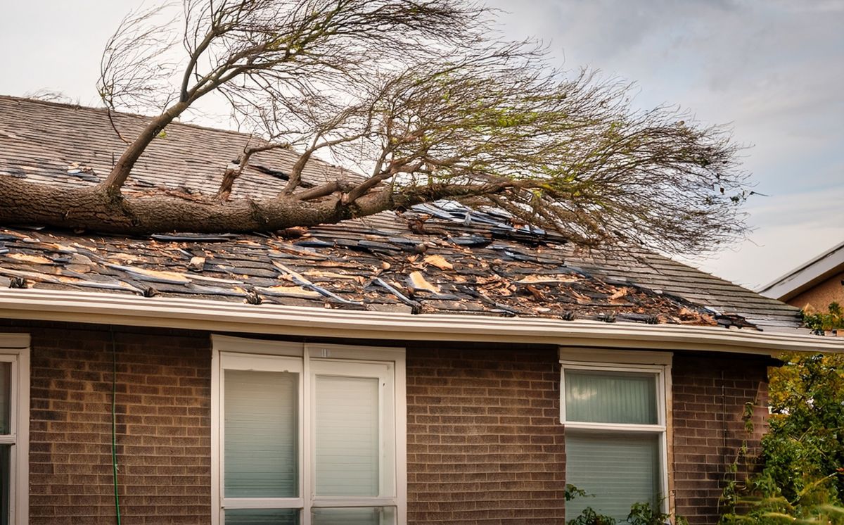 fallen tree branch on a house roof after a storm