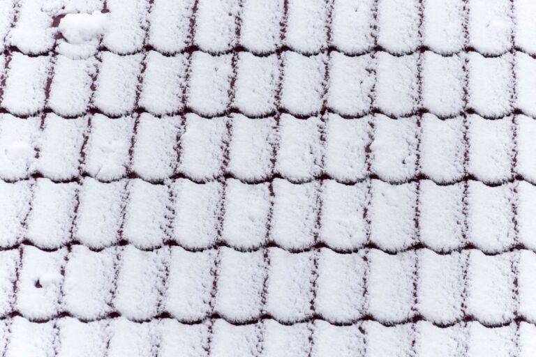 snowy texture on a tile roof