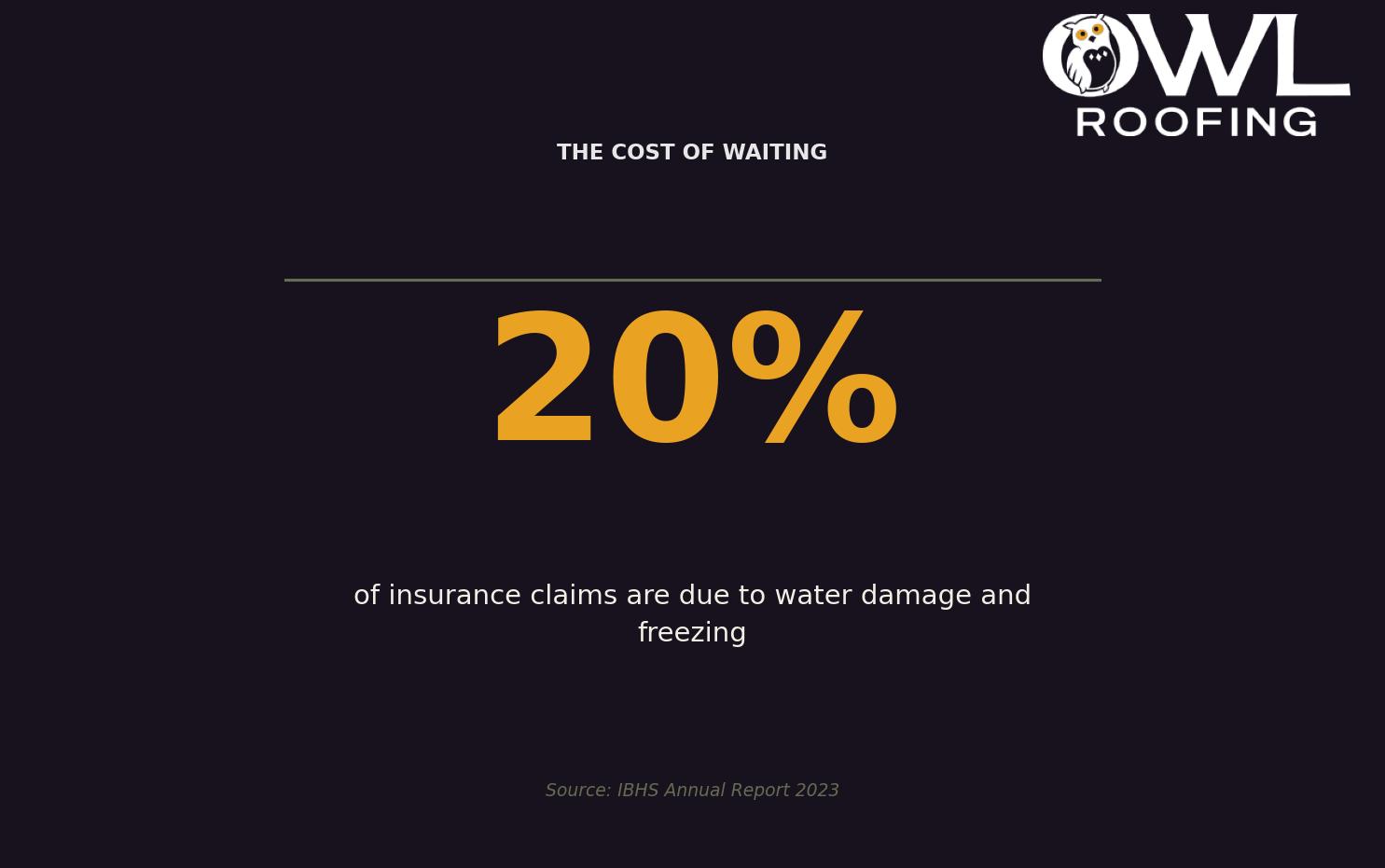 The Cost of Waiting — Illustrates the prevalence and impact of water damage claims on homeowners for Twin Cities homeowners. Keywords: small roof leak problem, small roof leak damage, minor roof leak consequences, roof leak ignored, roof leak mold. Owl Roofing Shoreview, MN roofing contractor infographic. Source: IBHS Annual Report 2023