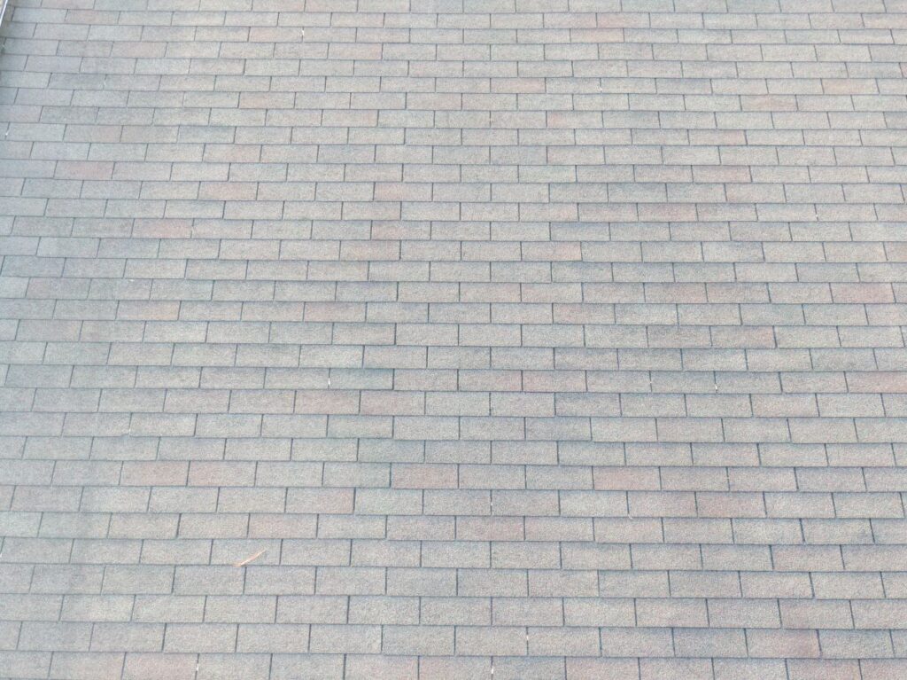 three tab shingle roof