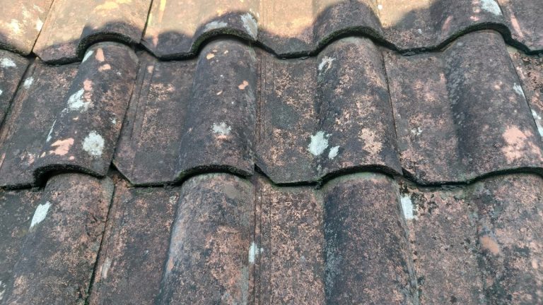 Weathered clay roof tiles with moss texture