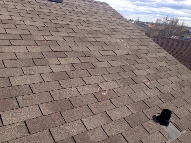 Hail Damaged Roof Shingles Insurance Claim